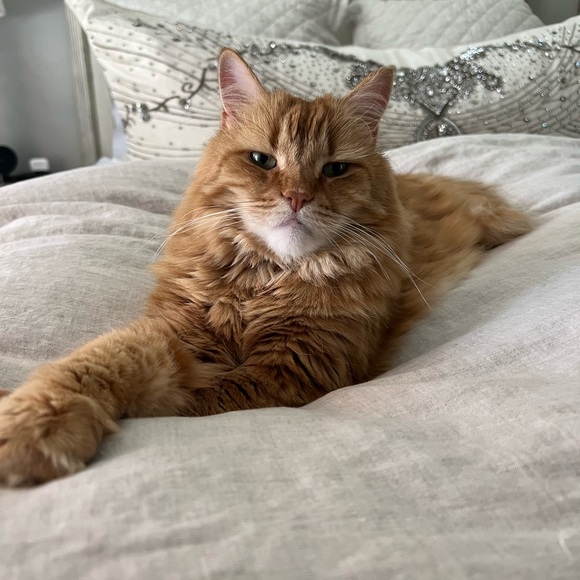 Meet your Posher, Danita - Picture 2 of 8